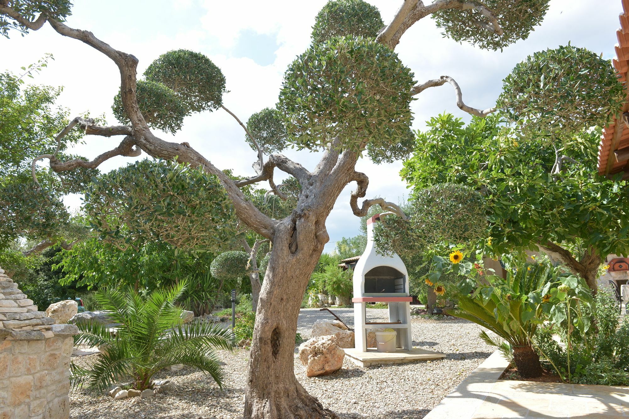 Masseria Pentima Vetrana Resort Альберобелло Екстер'єр фото